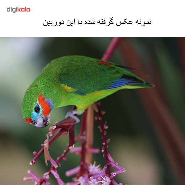 دوربین کانن مدل EOS 70D + 18-55 IS STM   20.0  50.0 مگاپیکسل 